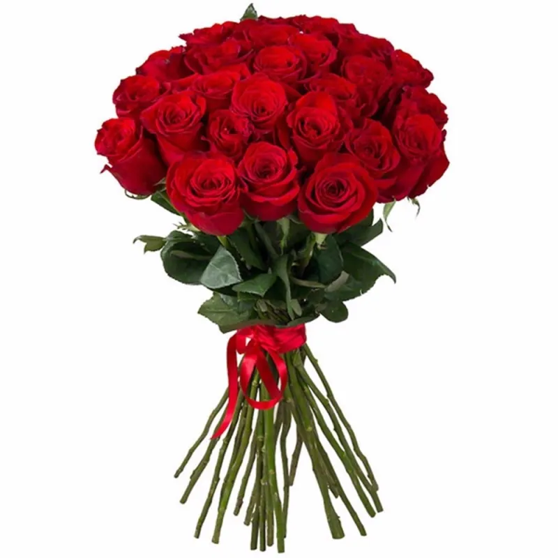 Букет из 25 красных роз под ленту, доставка Молоково